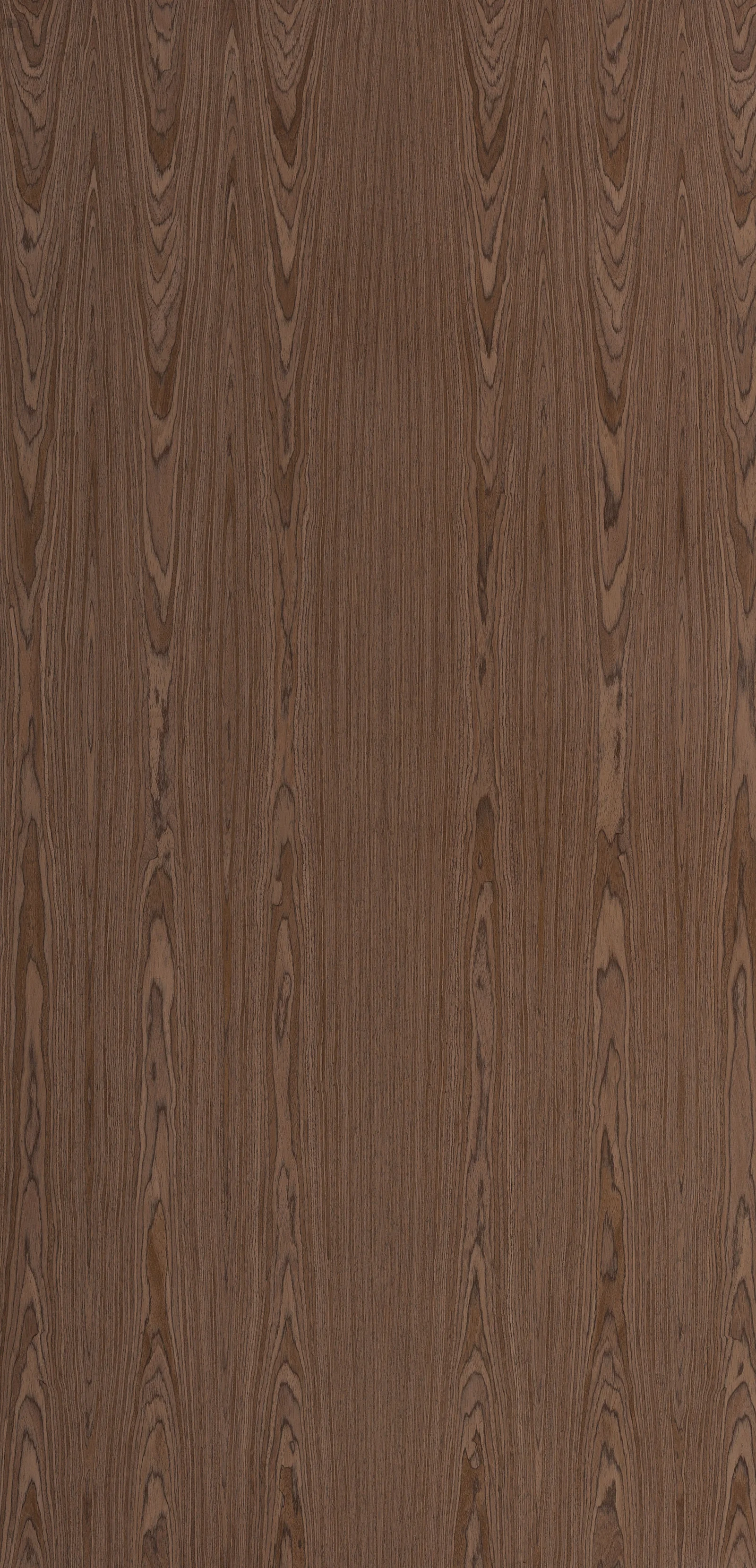 Lignum 10.06