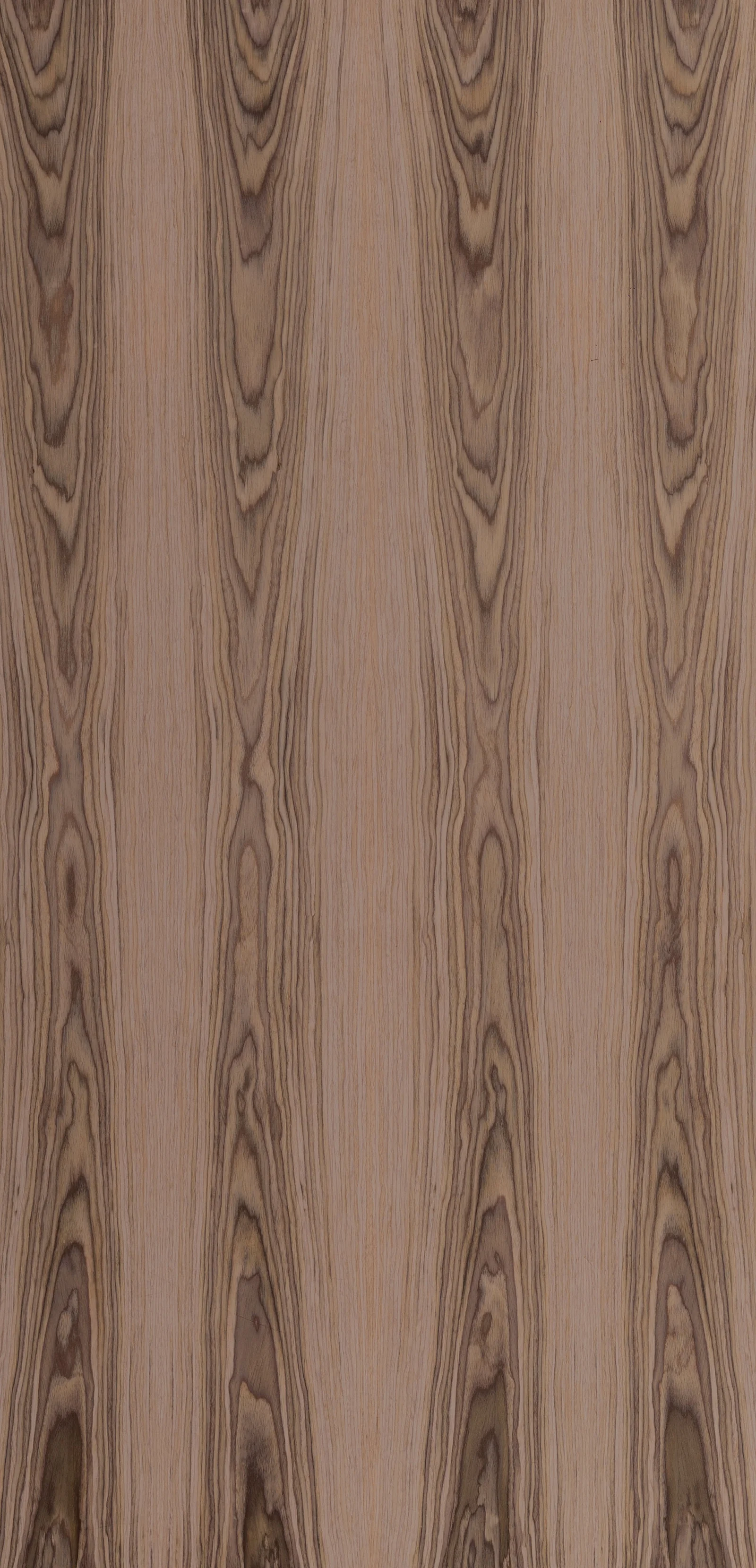 Lignum 10.07