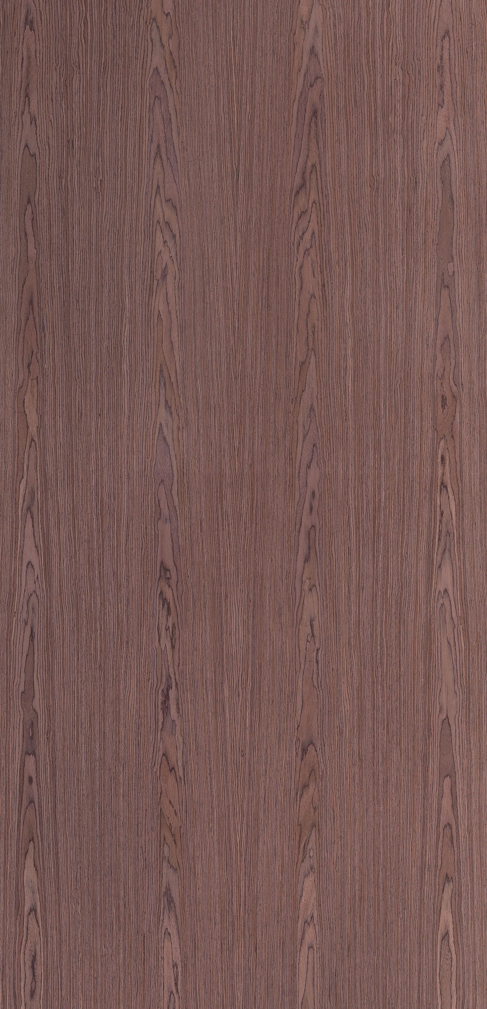 Lignum 10.10
