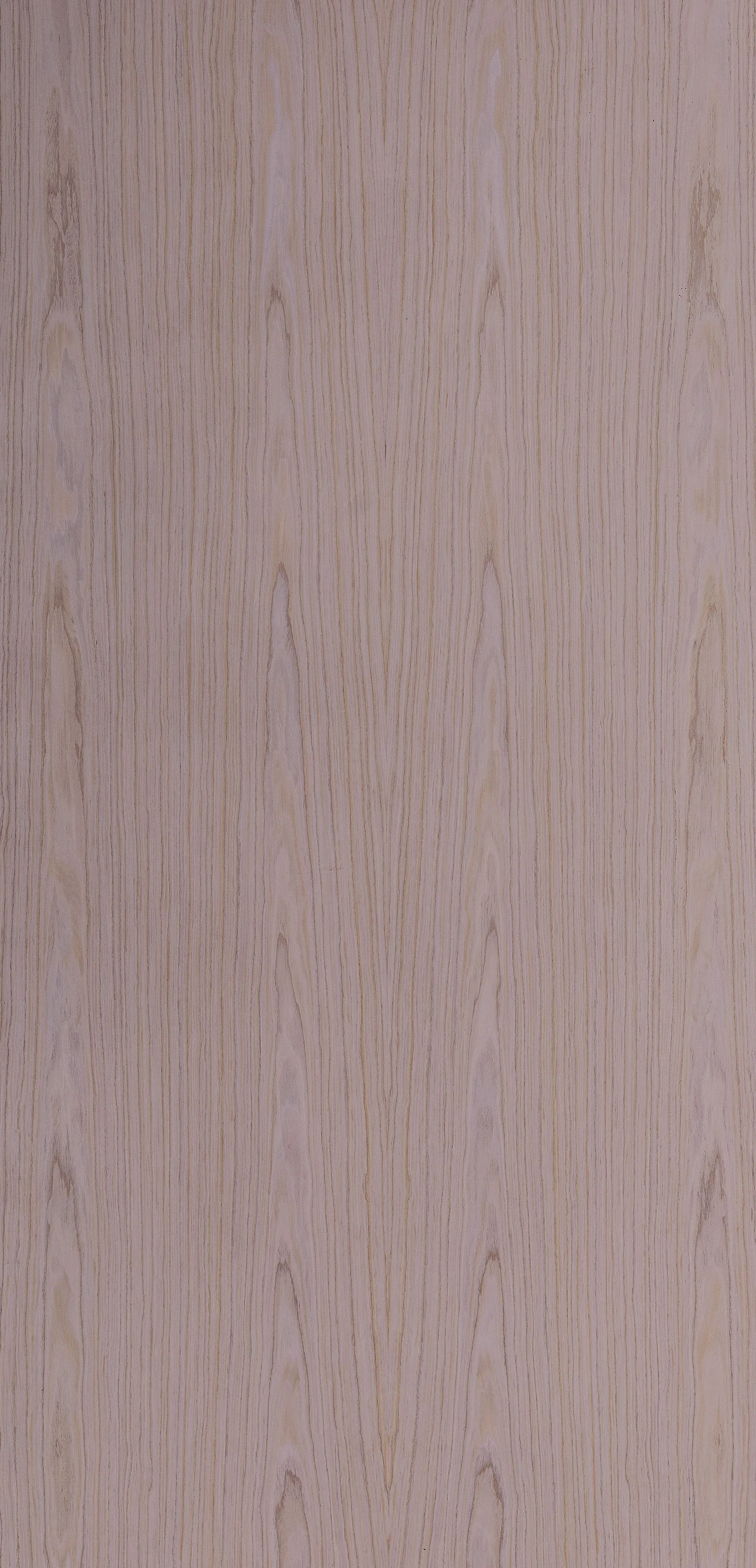 Lignum 10.12
