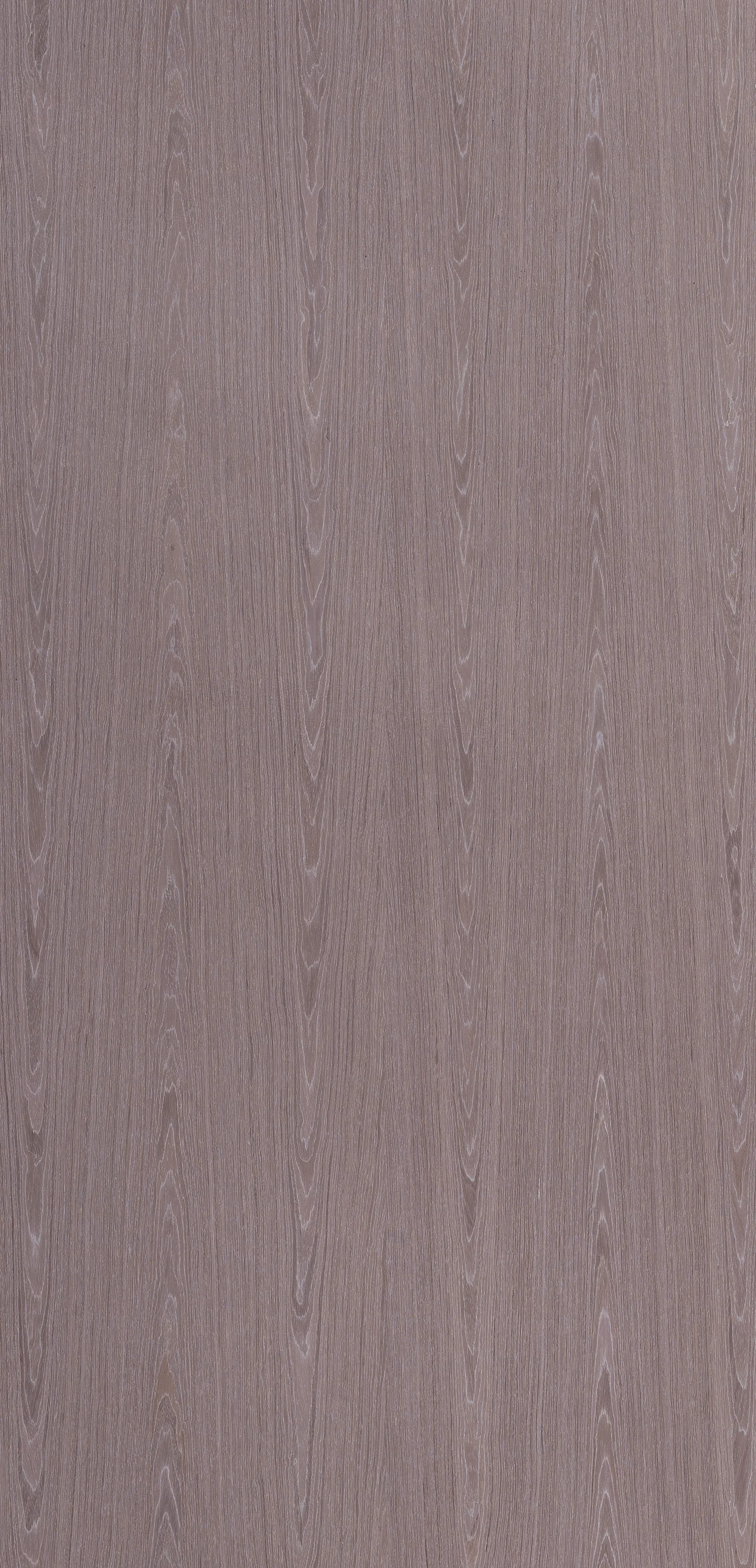 Lignum 10.13