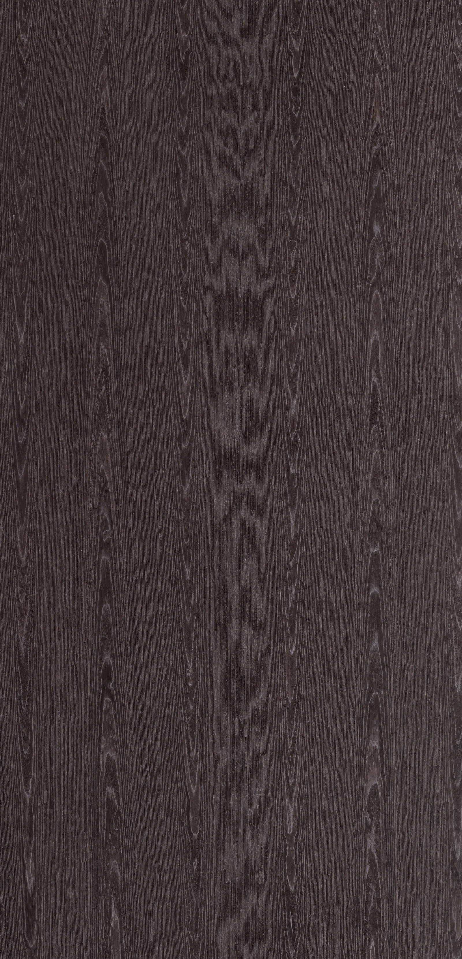 Lignum 10.16
