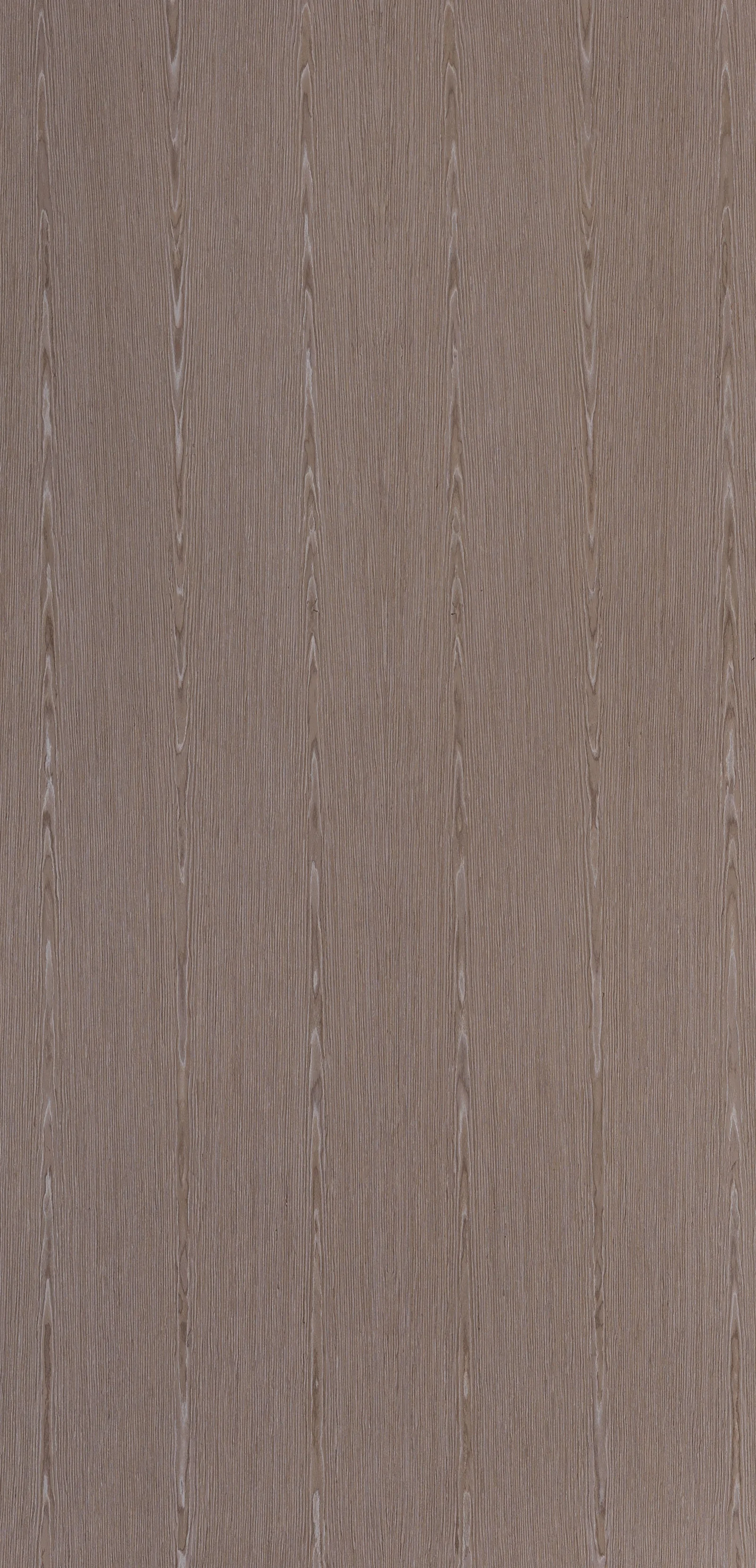 Lignum 10.17
