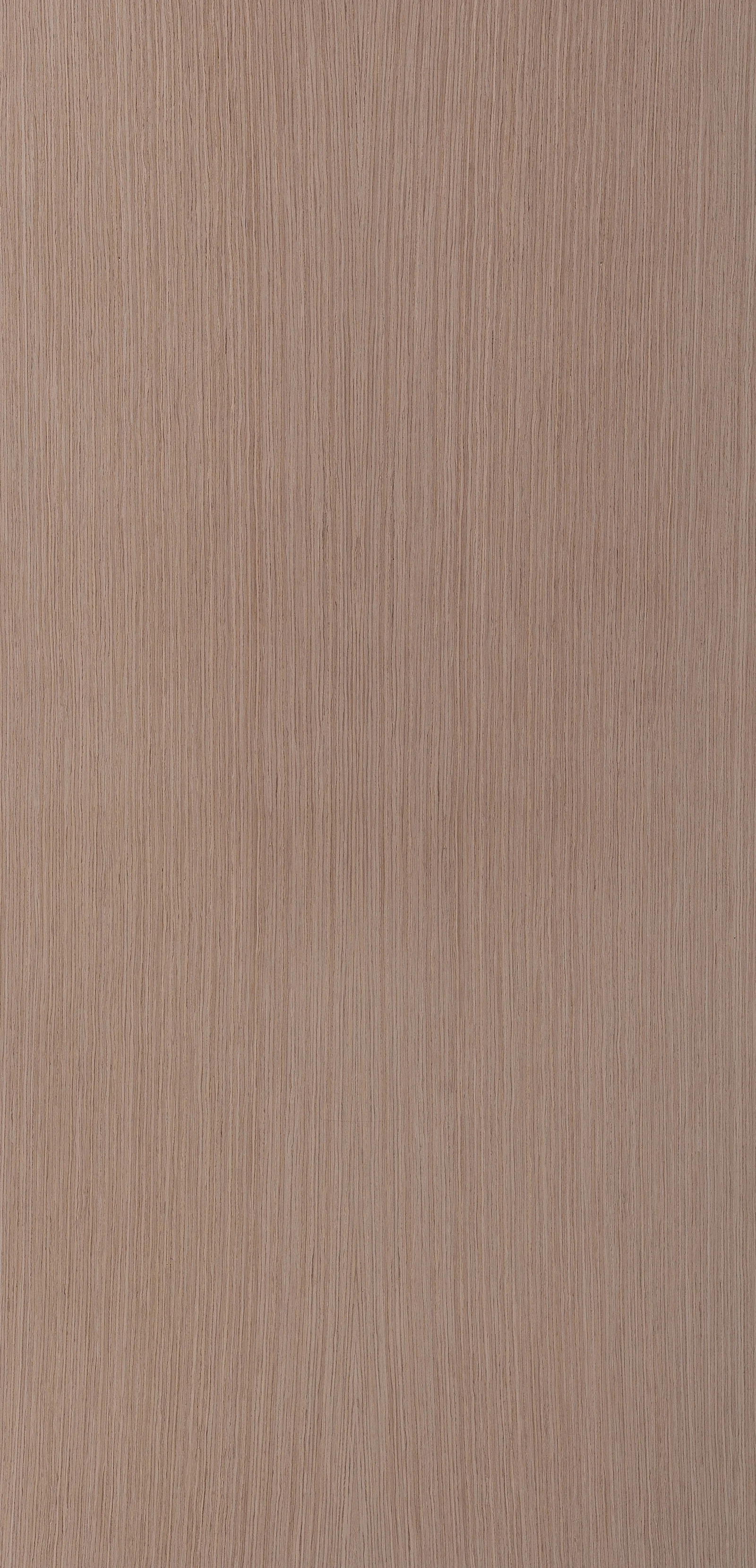 Lignum 10.29
