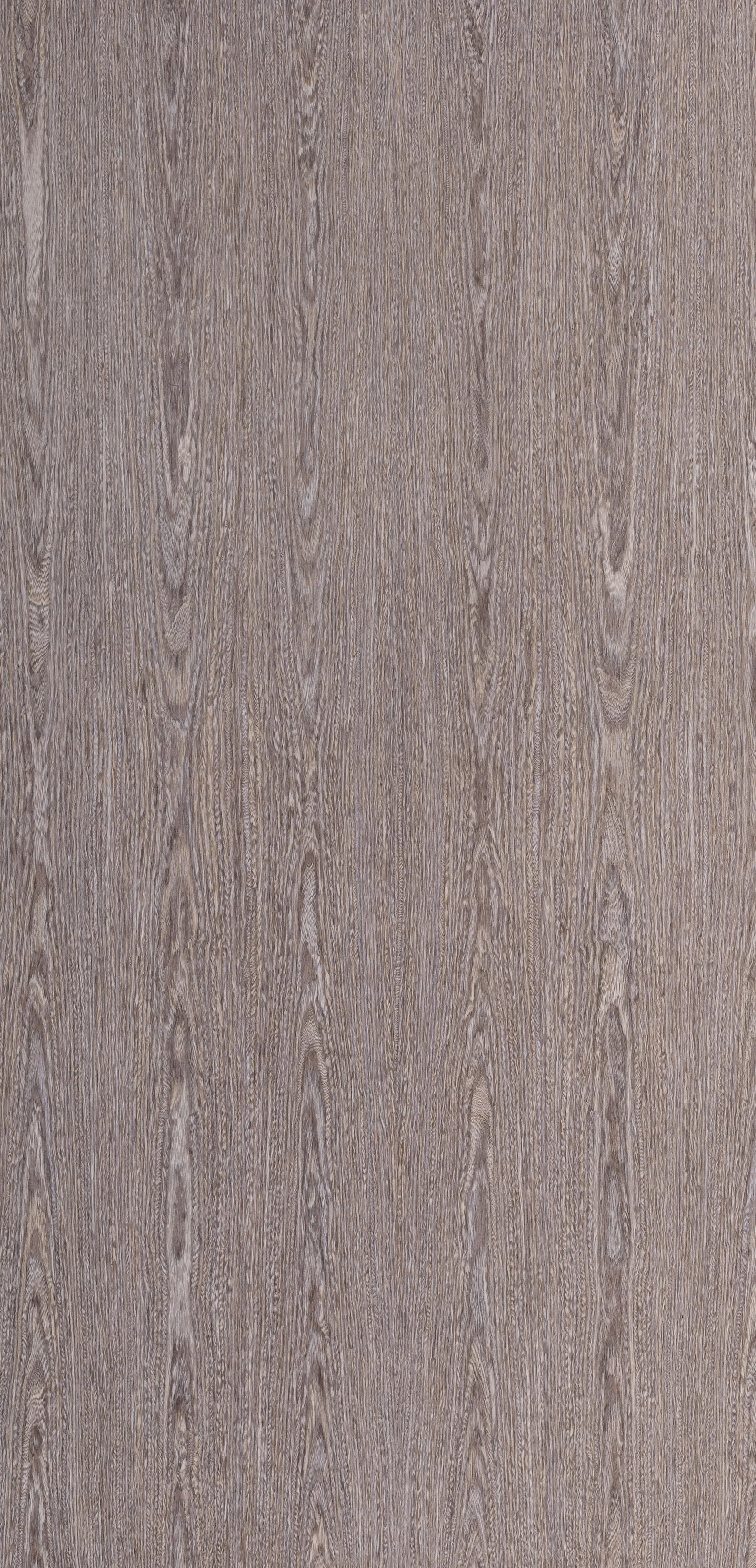 Lignum 10.31