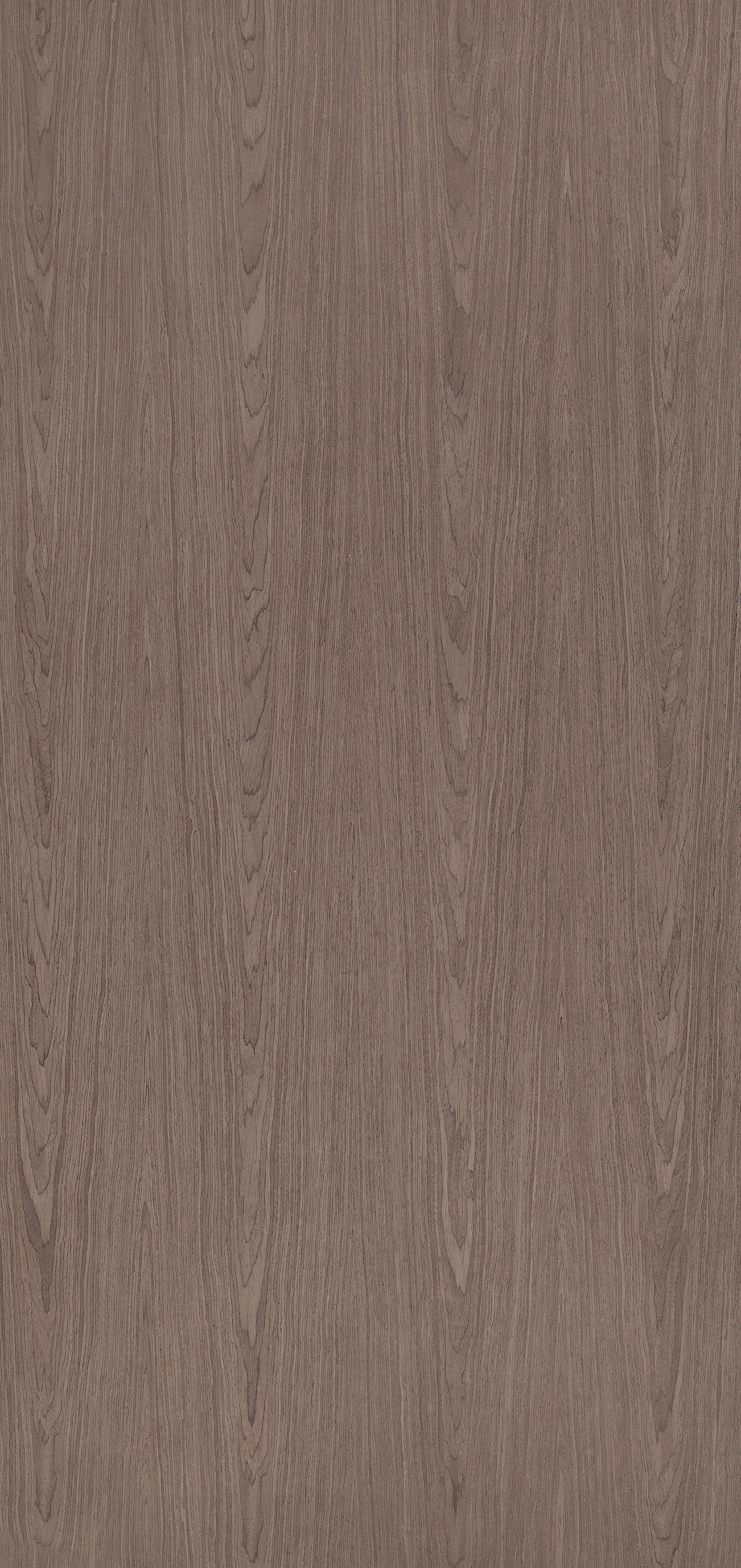 Lignum 10.81