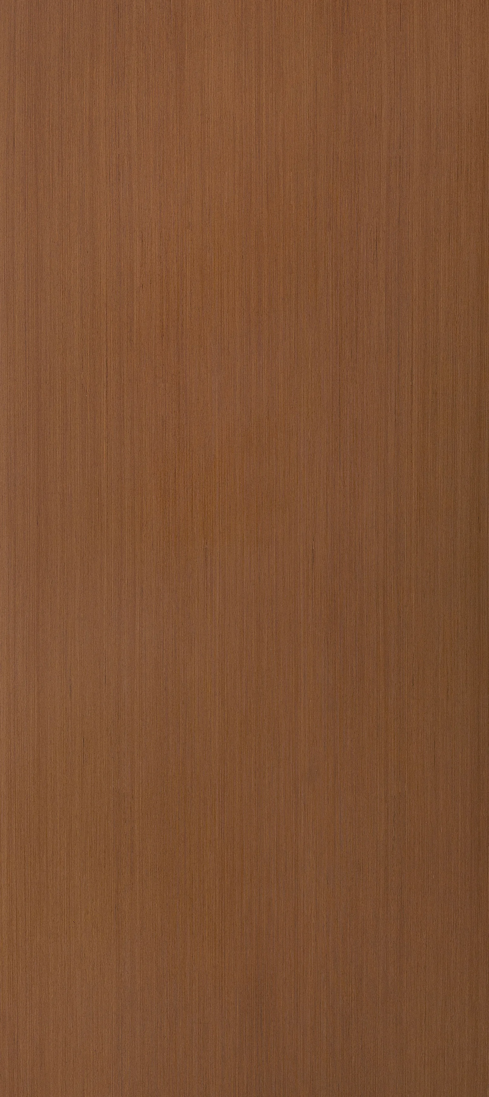 Lignum Prolonged 30.08