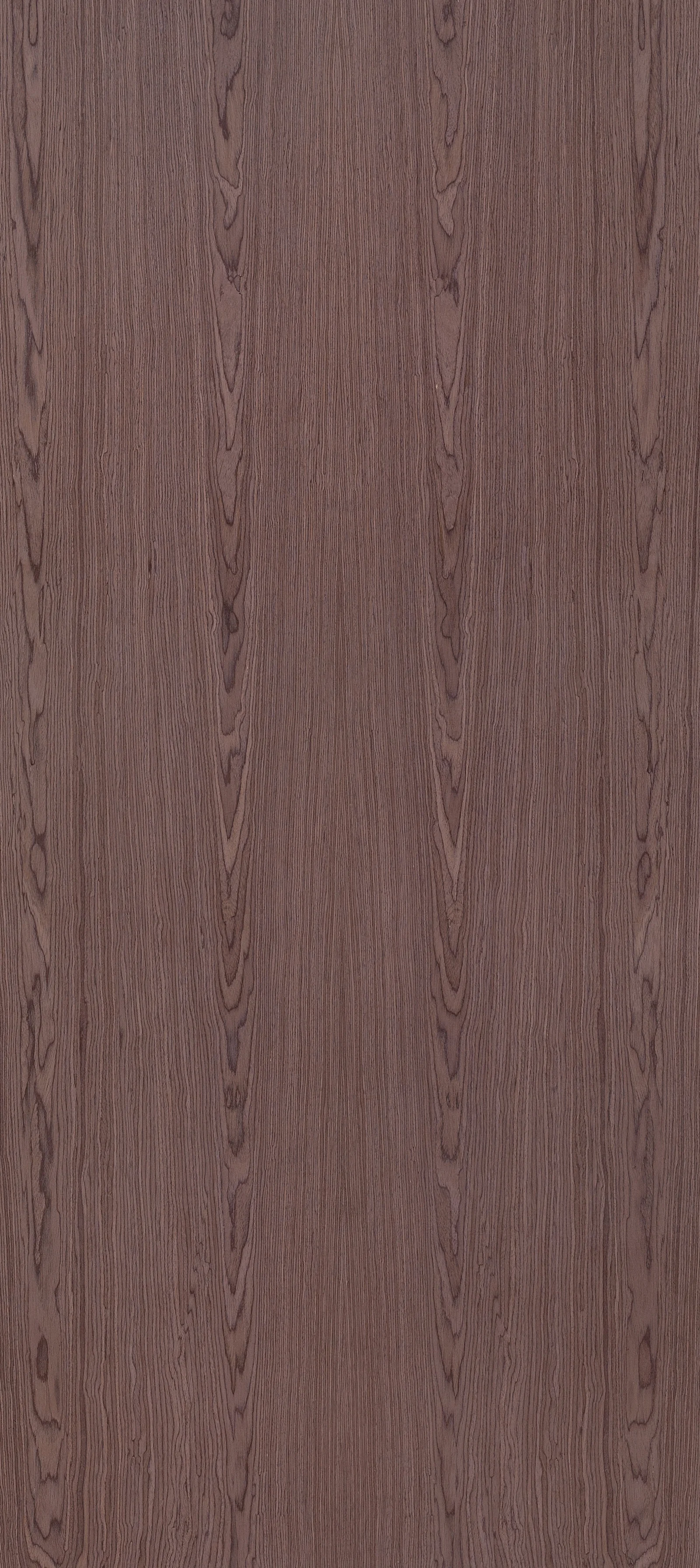 Lignum Prolonged 30.13