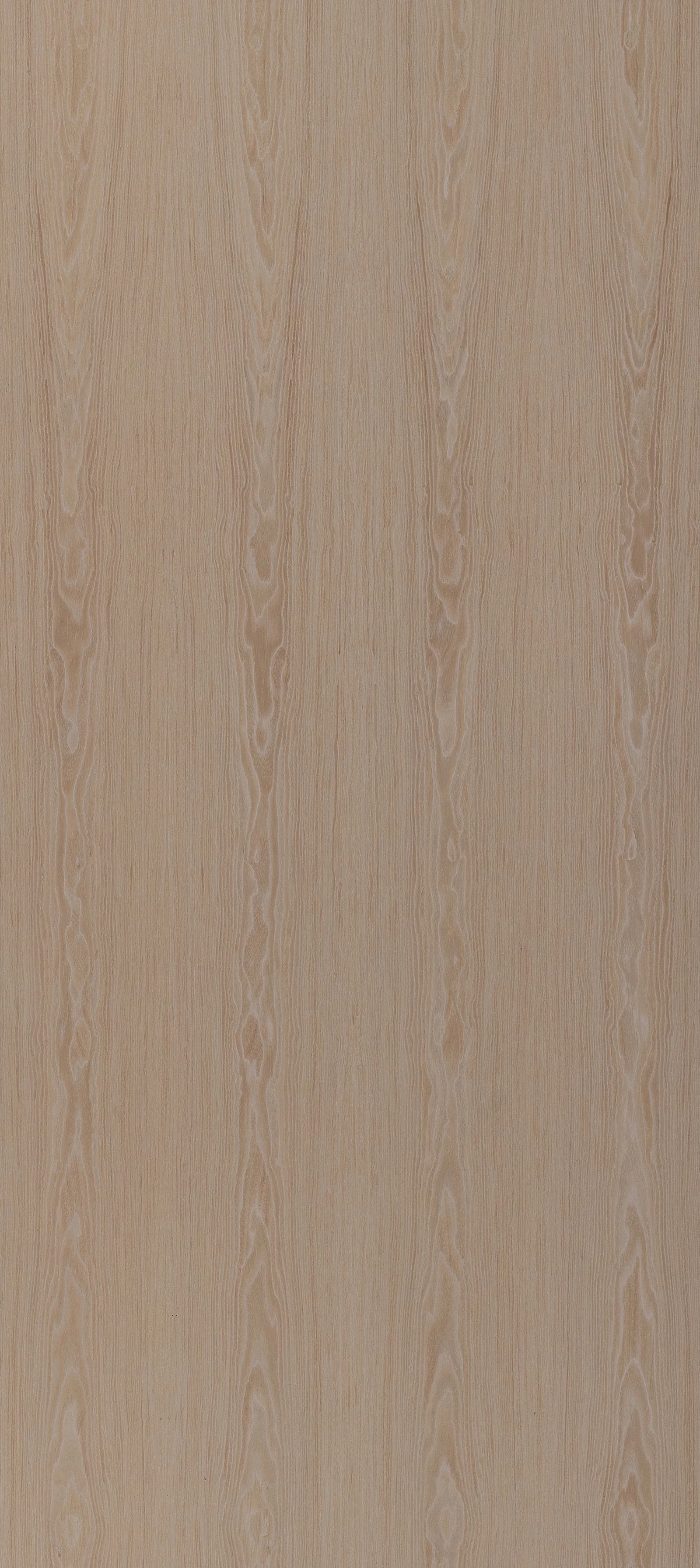 Lignum Prolonged 40.51
