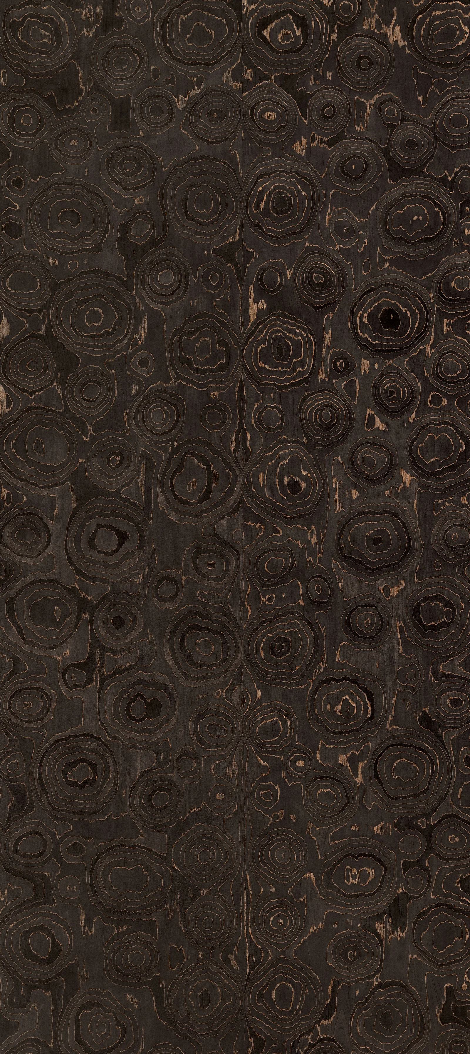 Lignum Prolonged 40.77