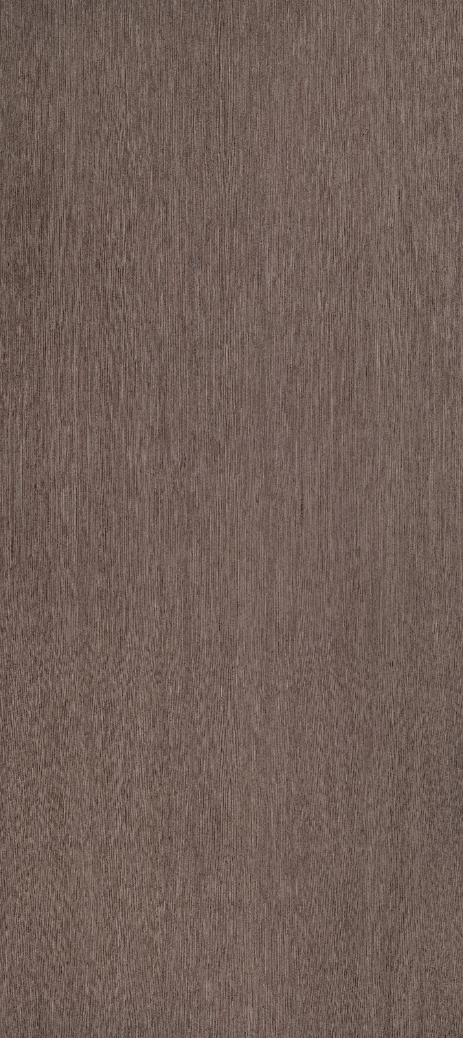Lignum Prolonged 40.95