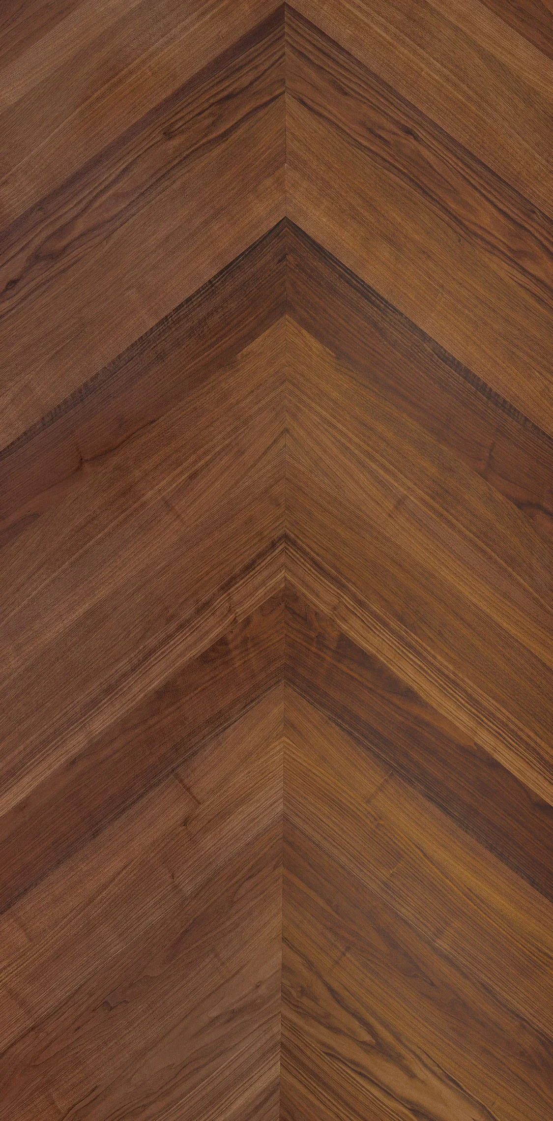 American Walnut V2