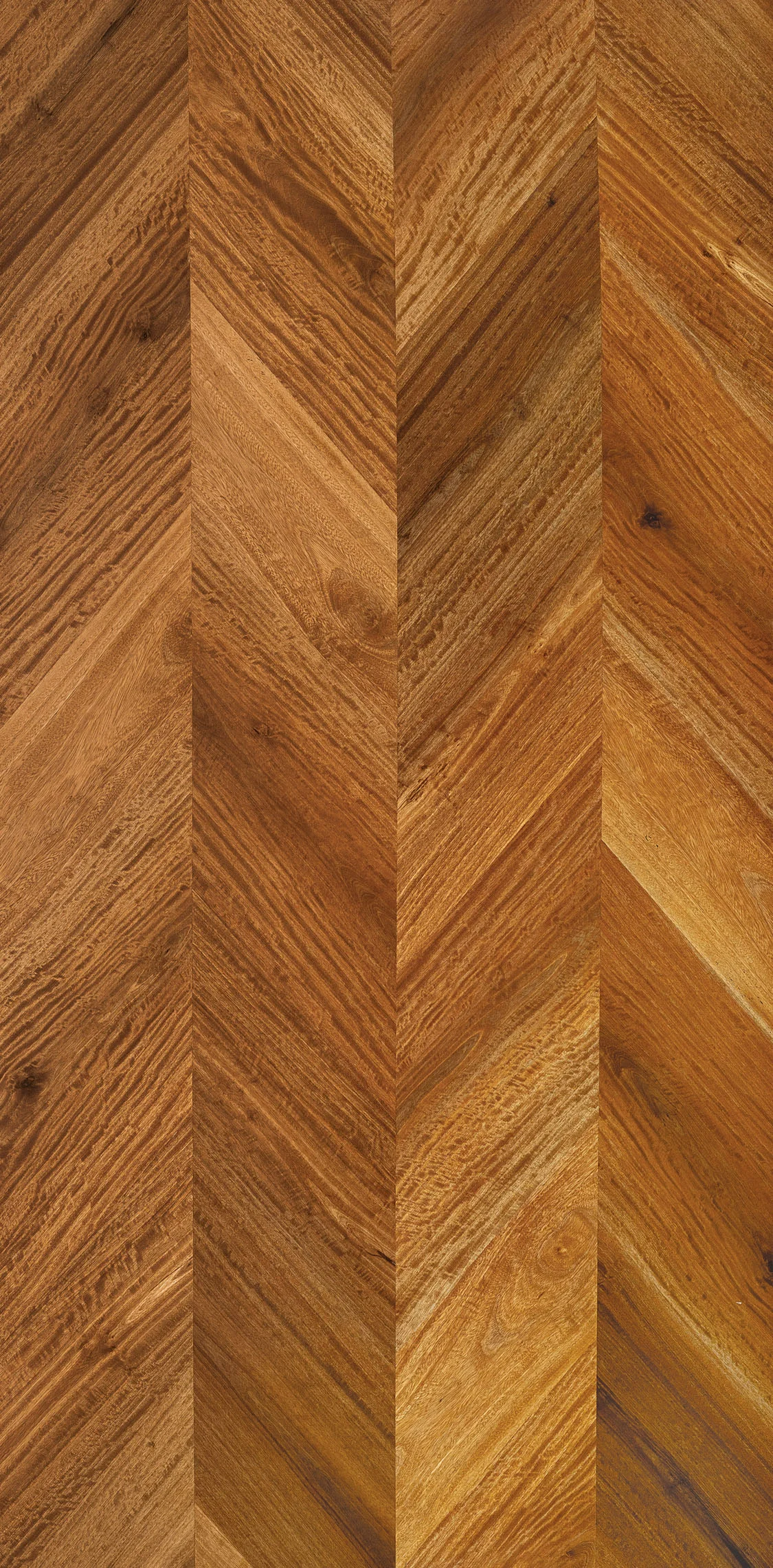 Ironwood Figured V4