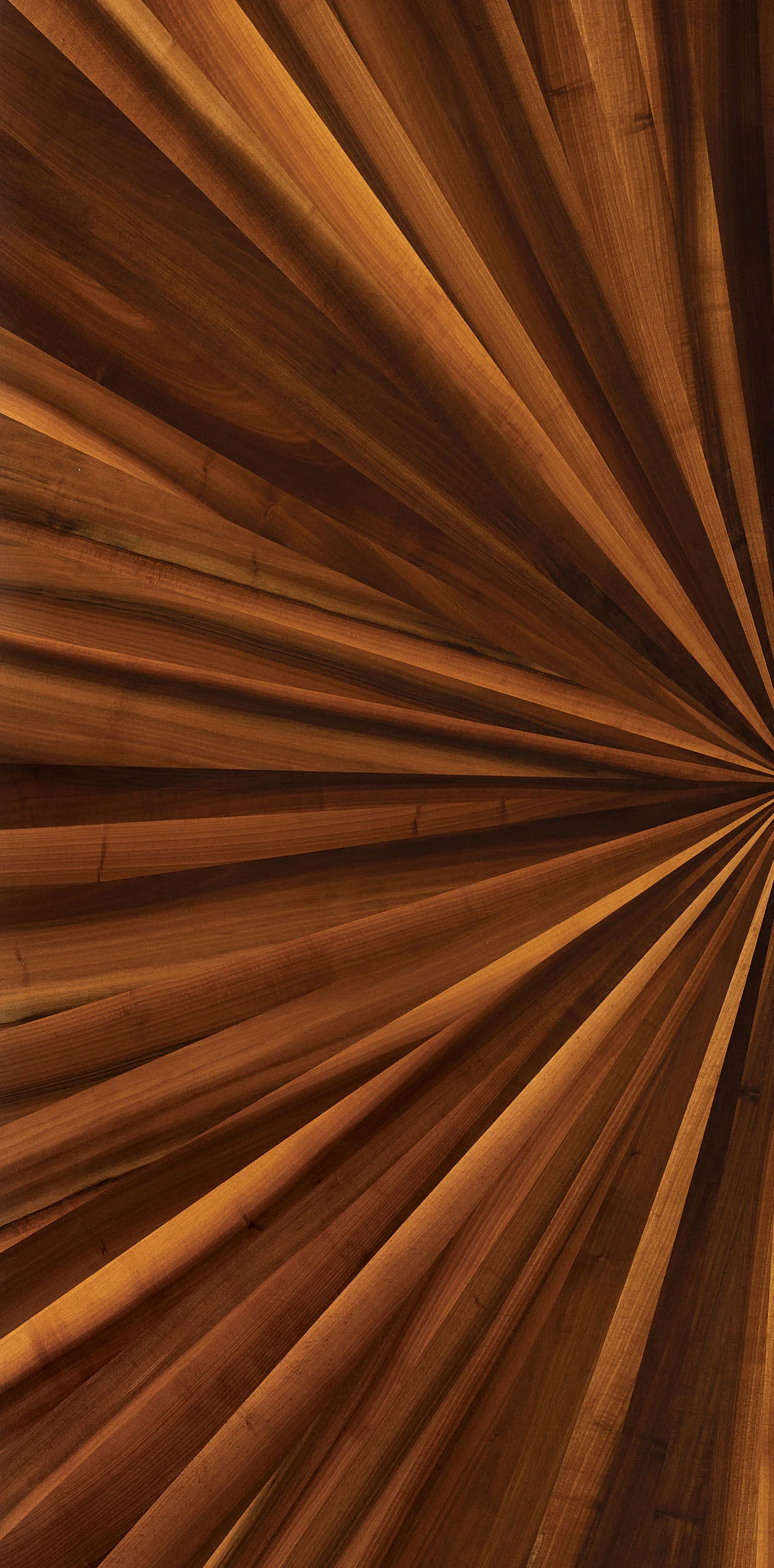 Spanish Walnut Half Sun