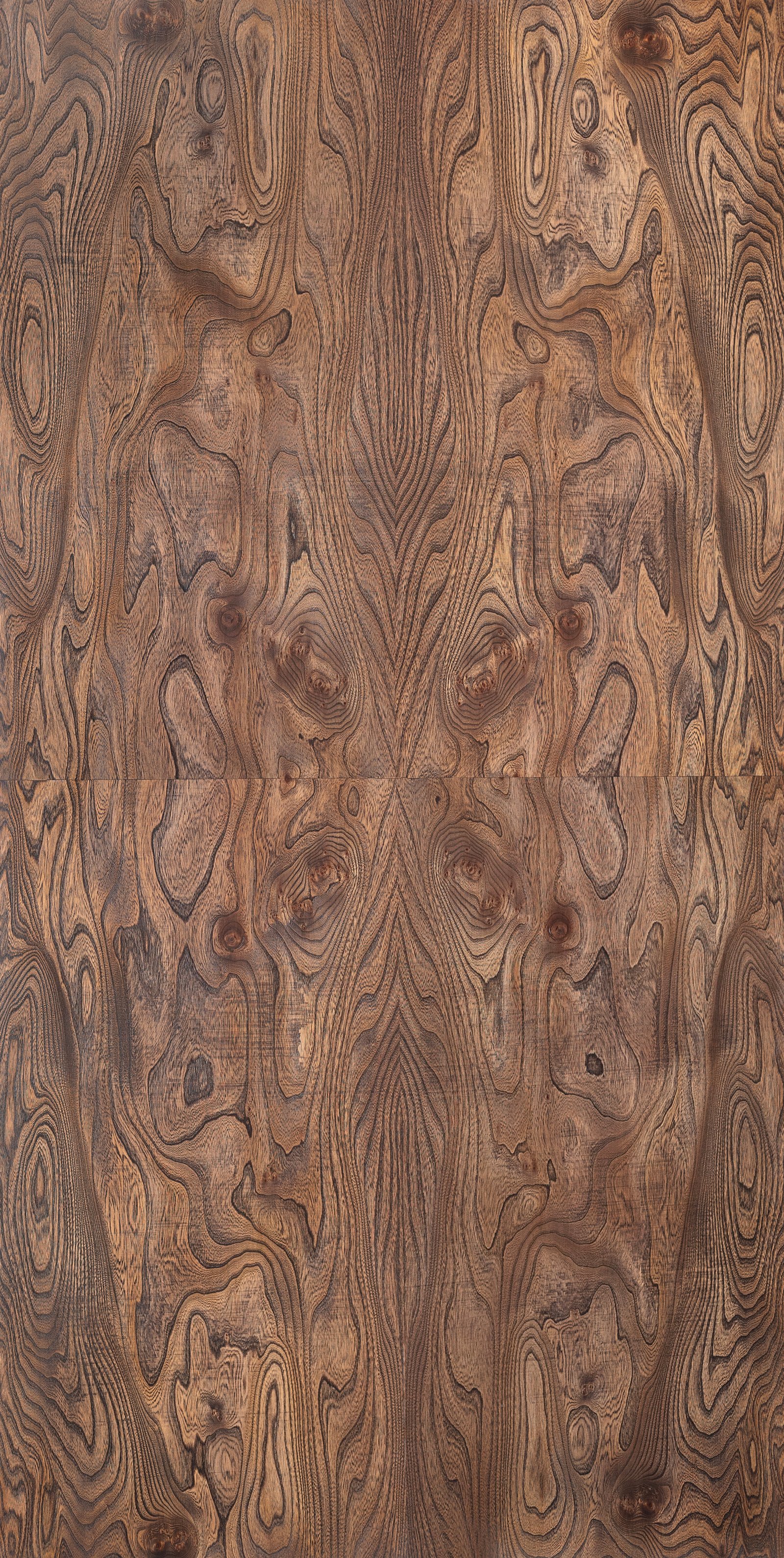 Nexa Elm Cluster