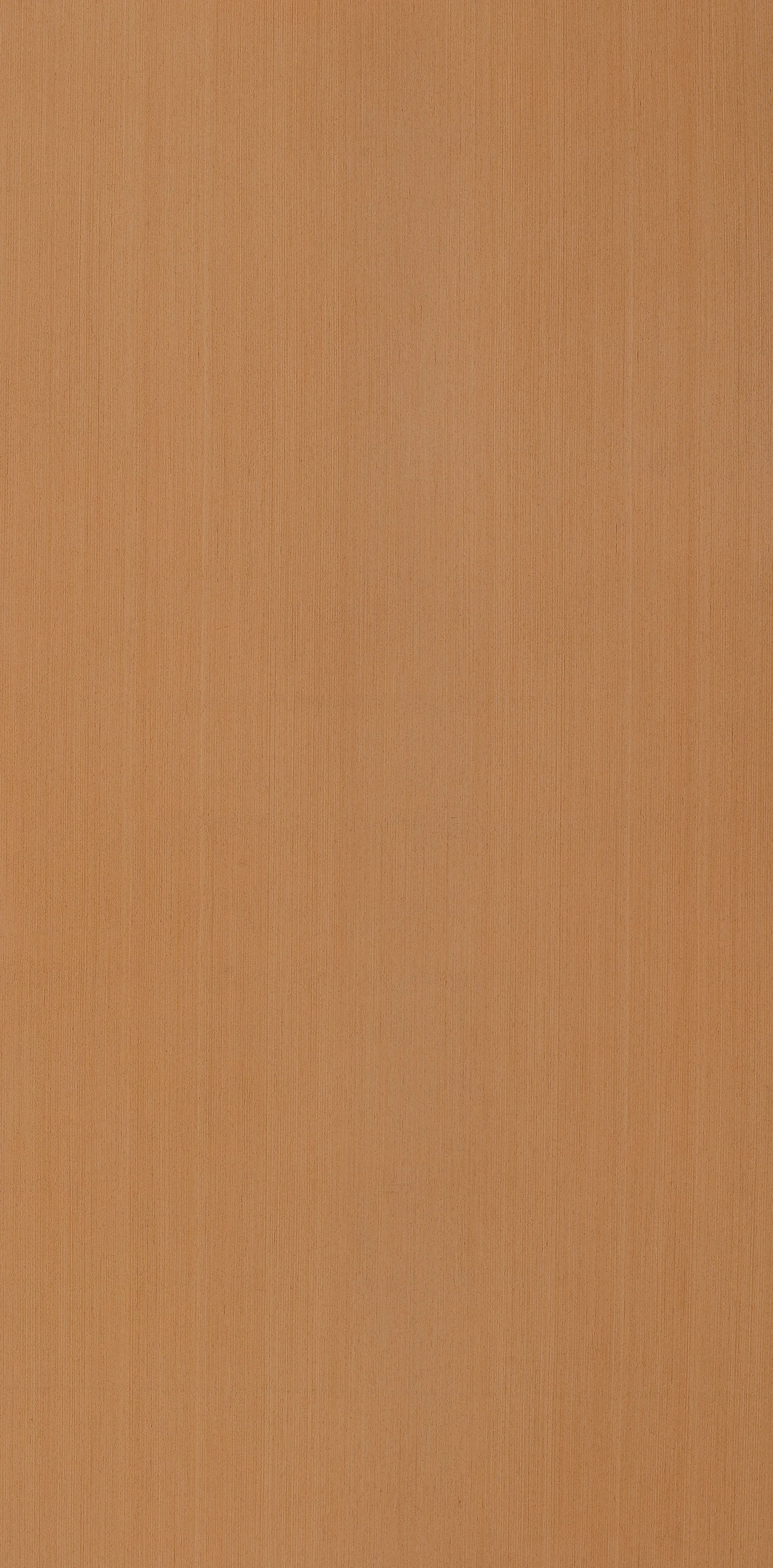 C04 Grainless Teak
