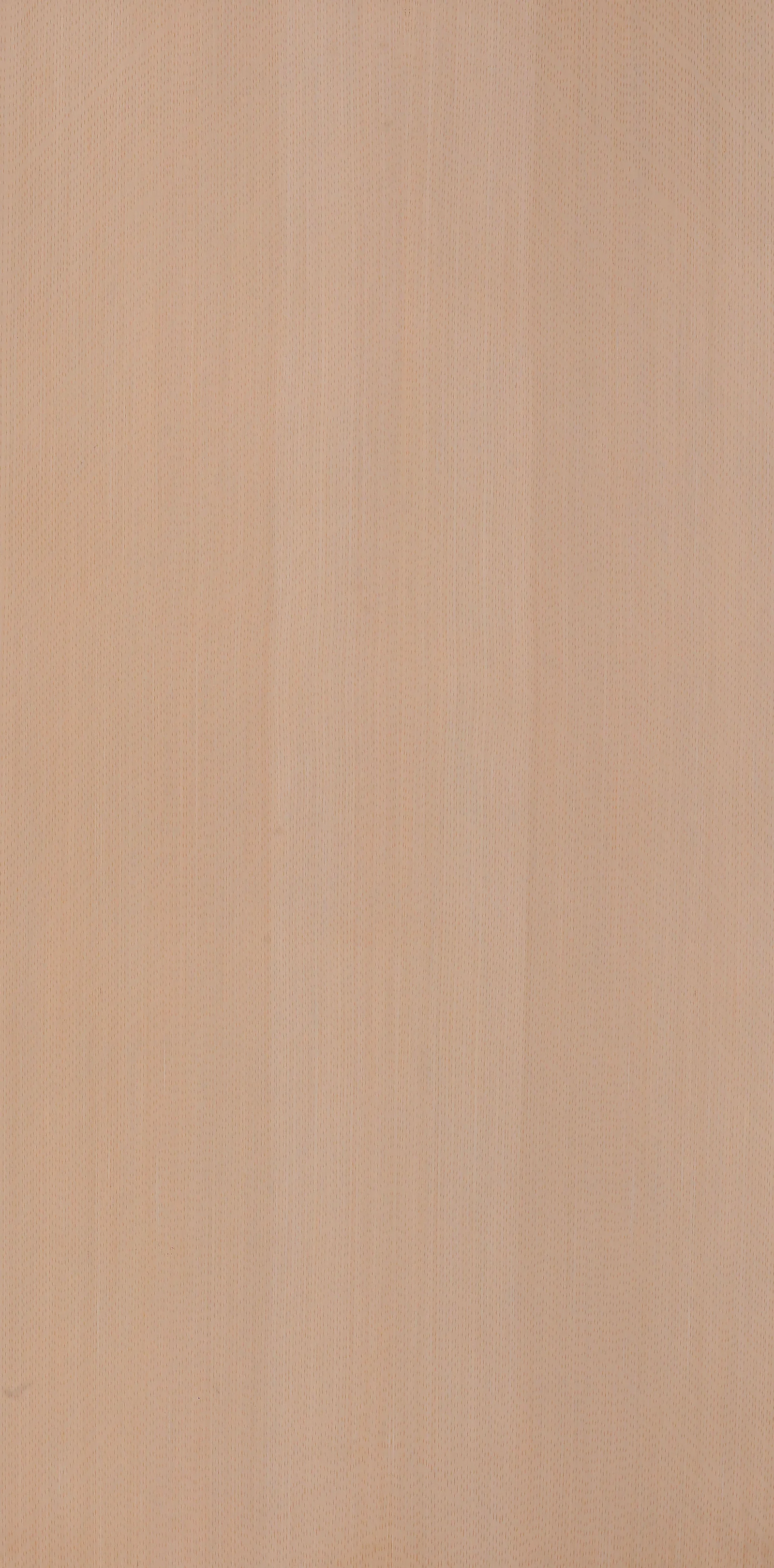 F17 Steam Beech