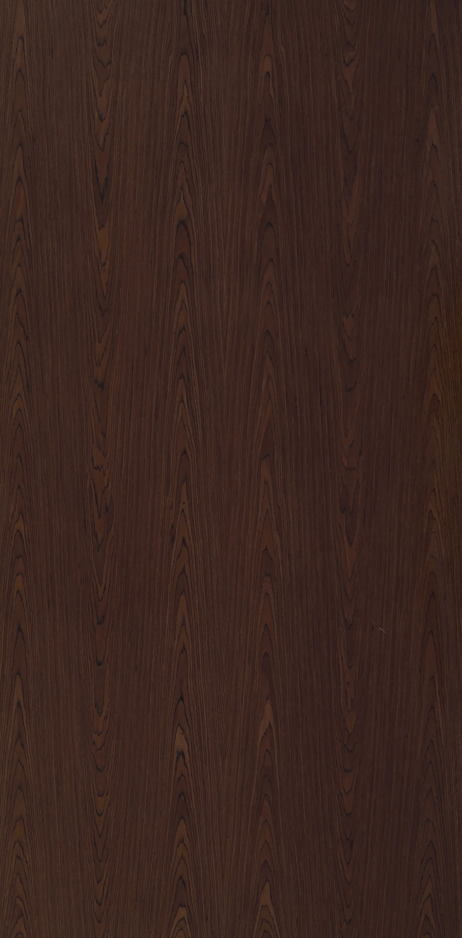 F20 Walnut Crown