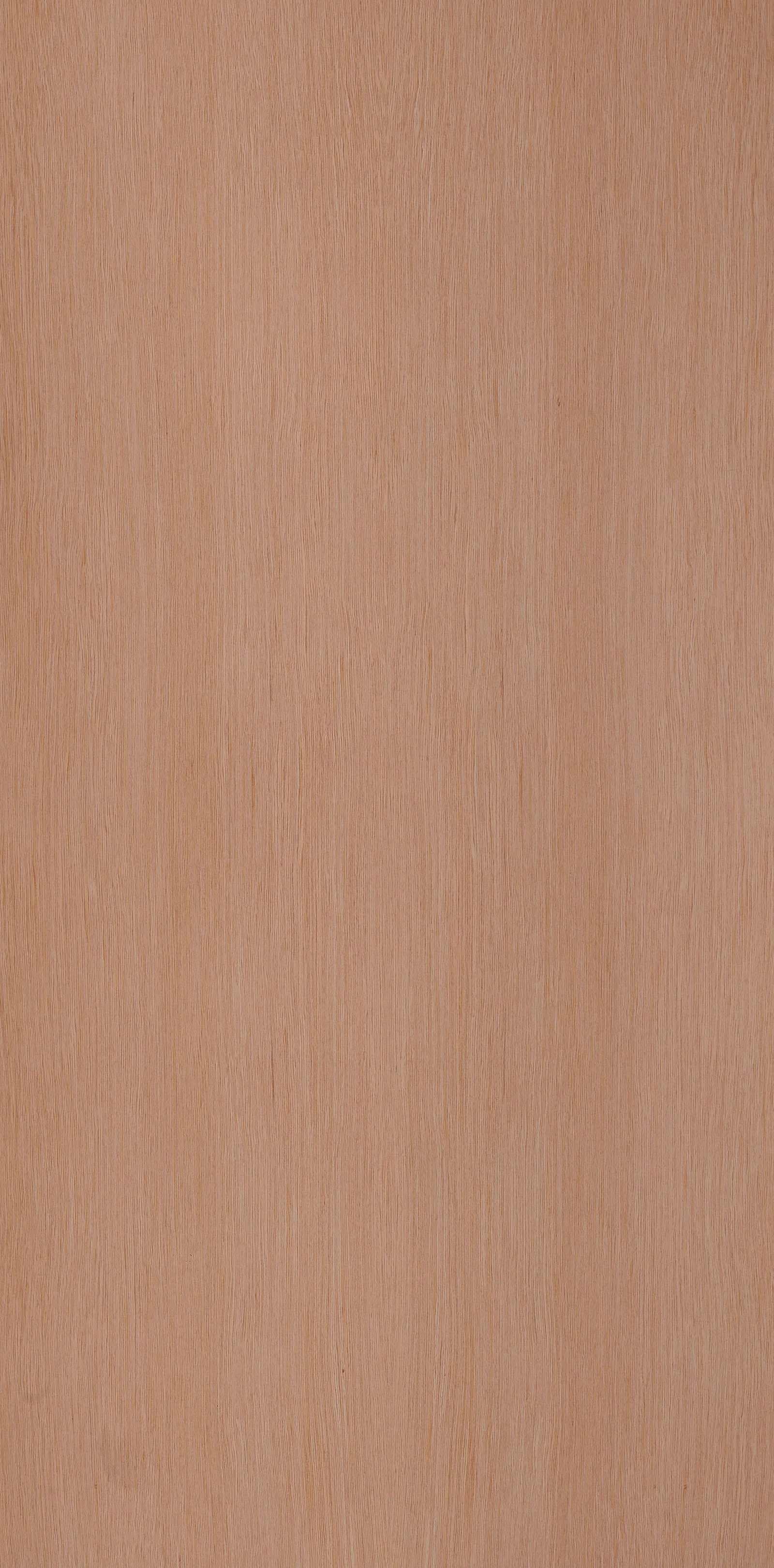 G01 White Oak