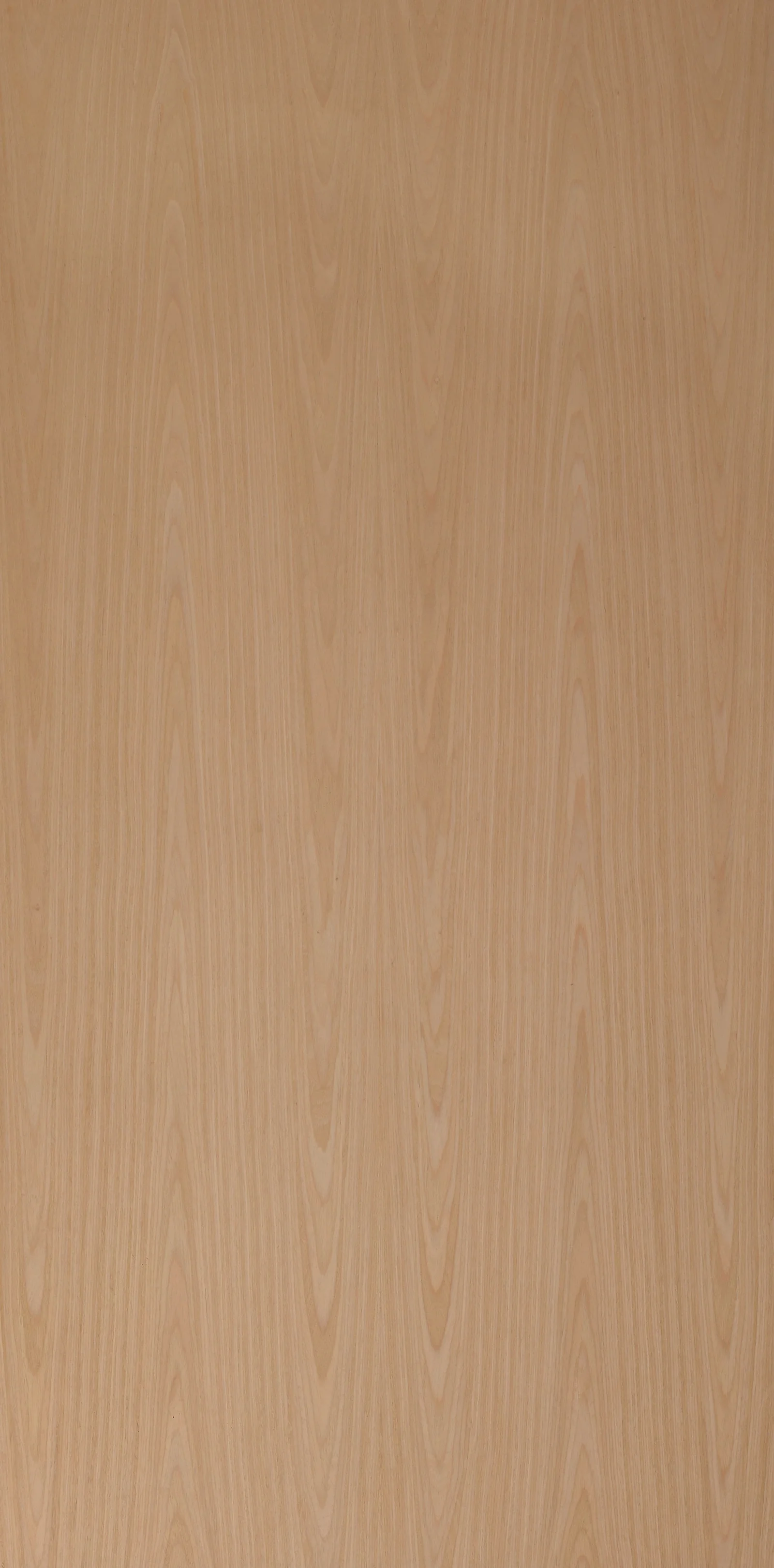 G79 Oak Crown