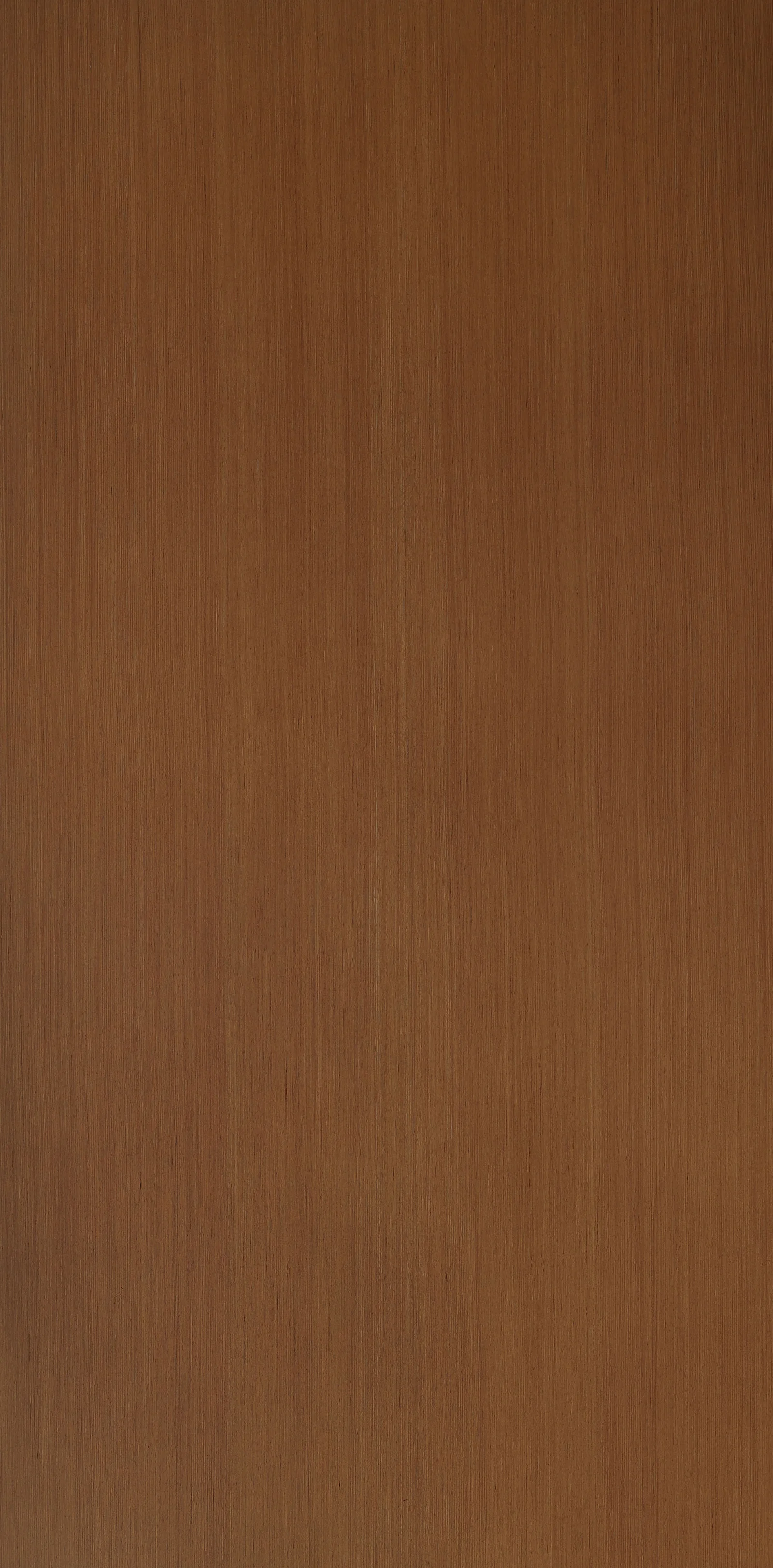 H55 Grainless B.Teak