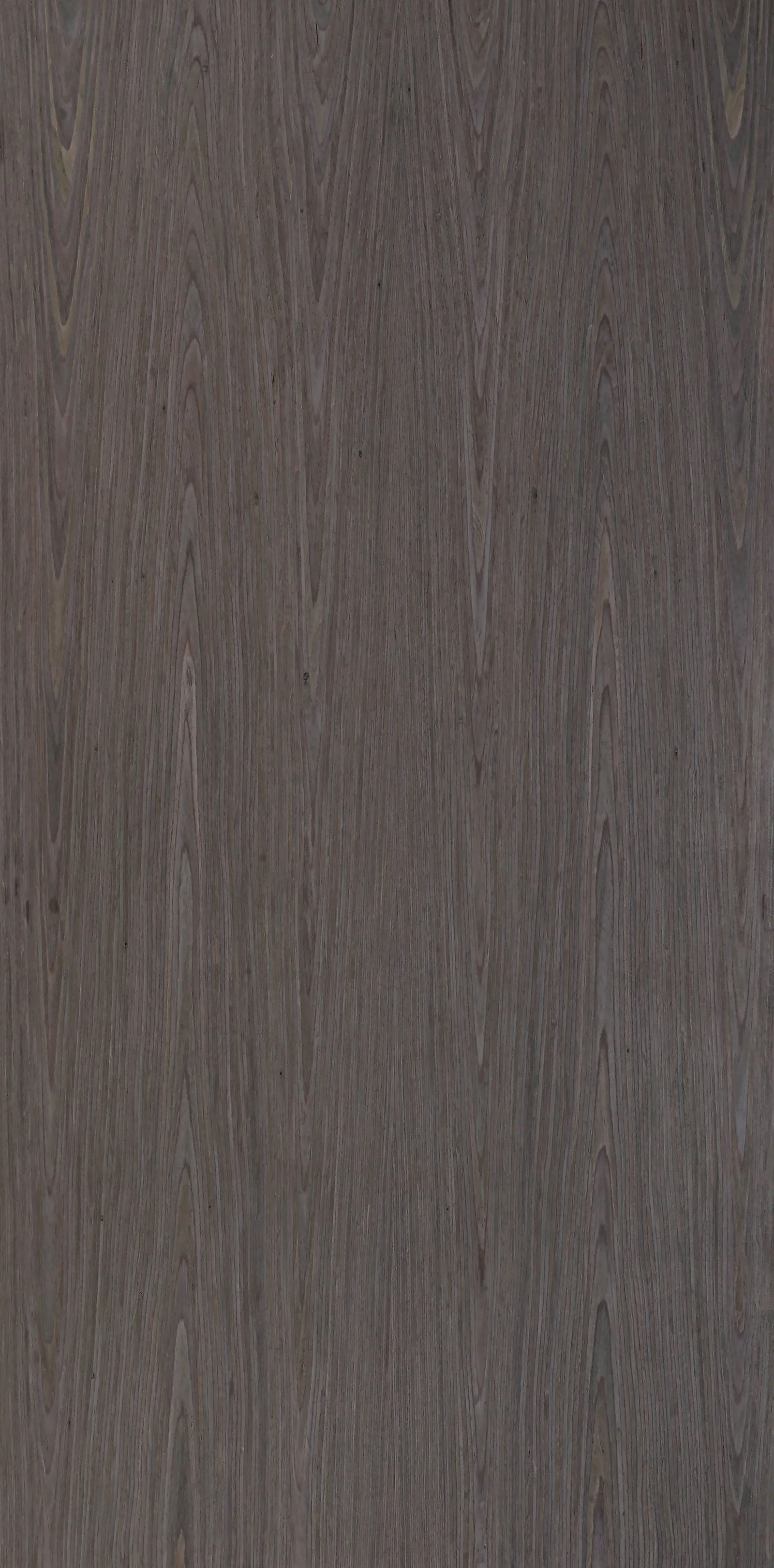 HD82 Ash Dyed Grey