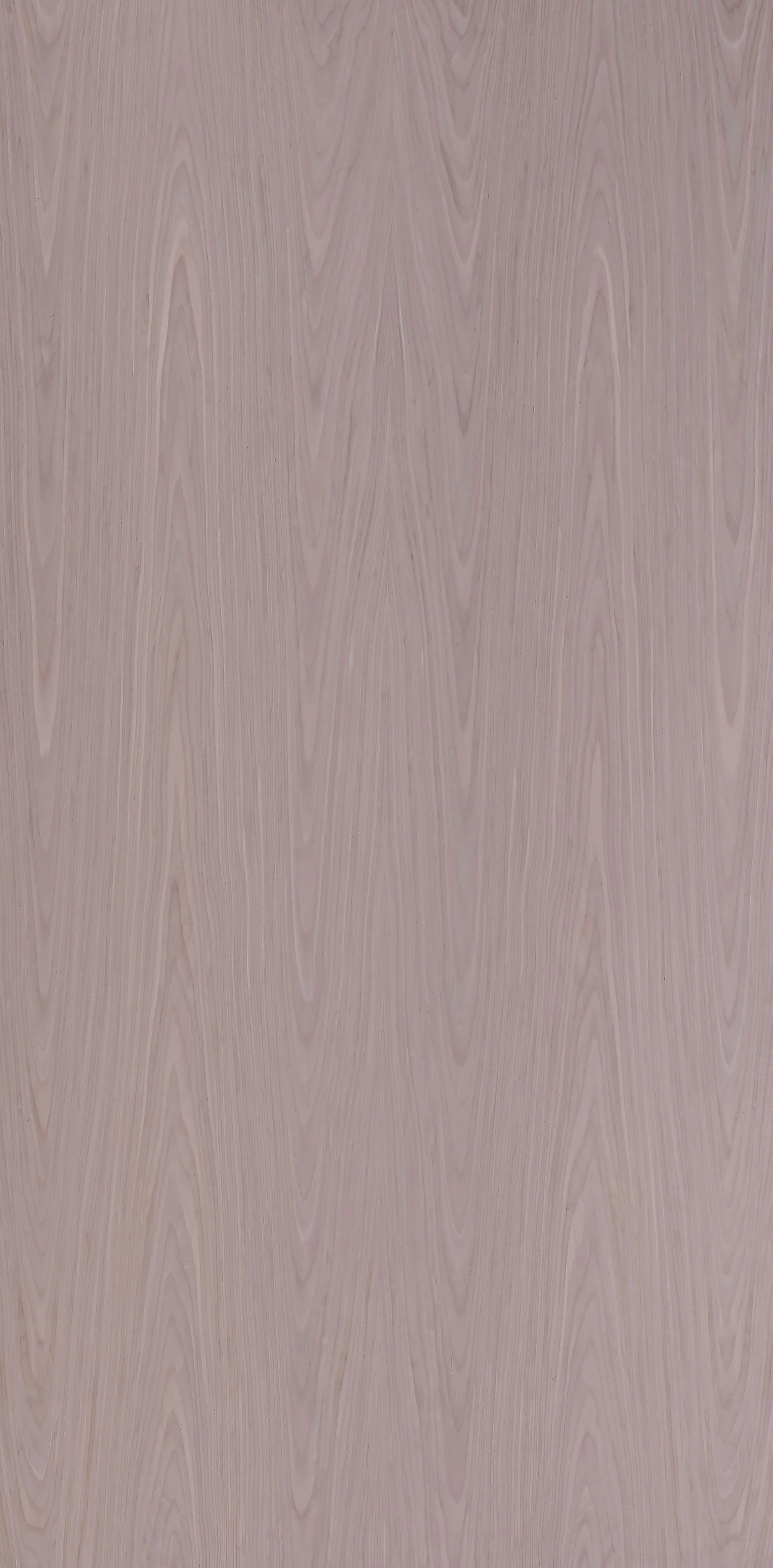 HD88 oak Dyed Silver White