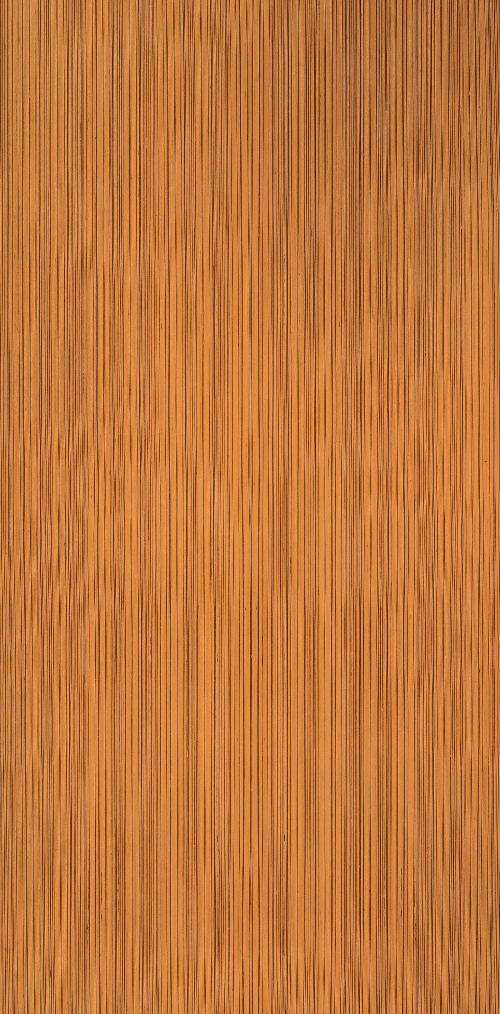 SL2 ST. Line Teak (M)