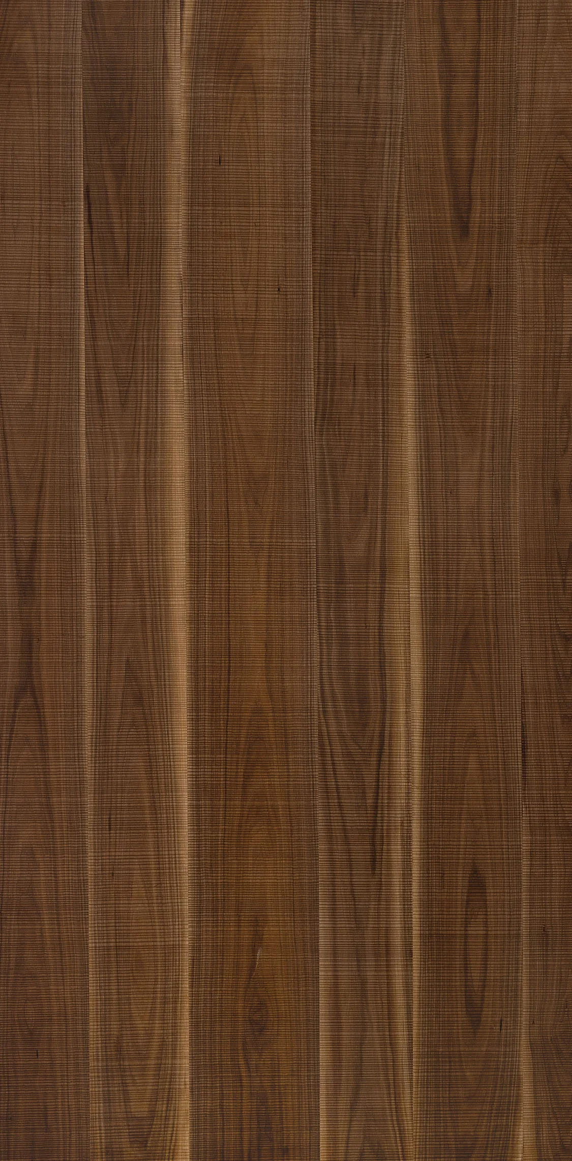 American Walnut Crown Rough