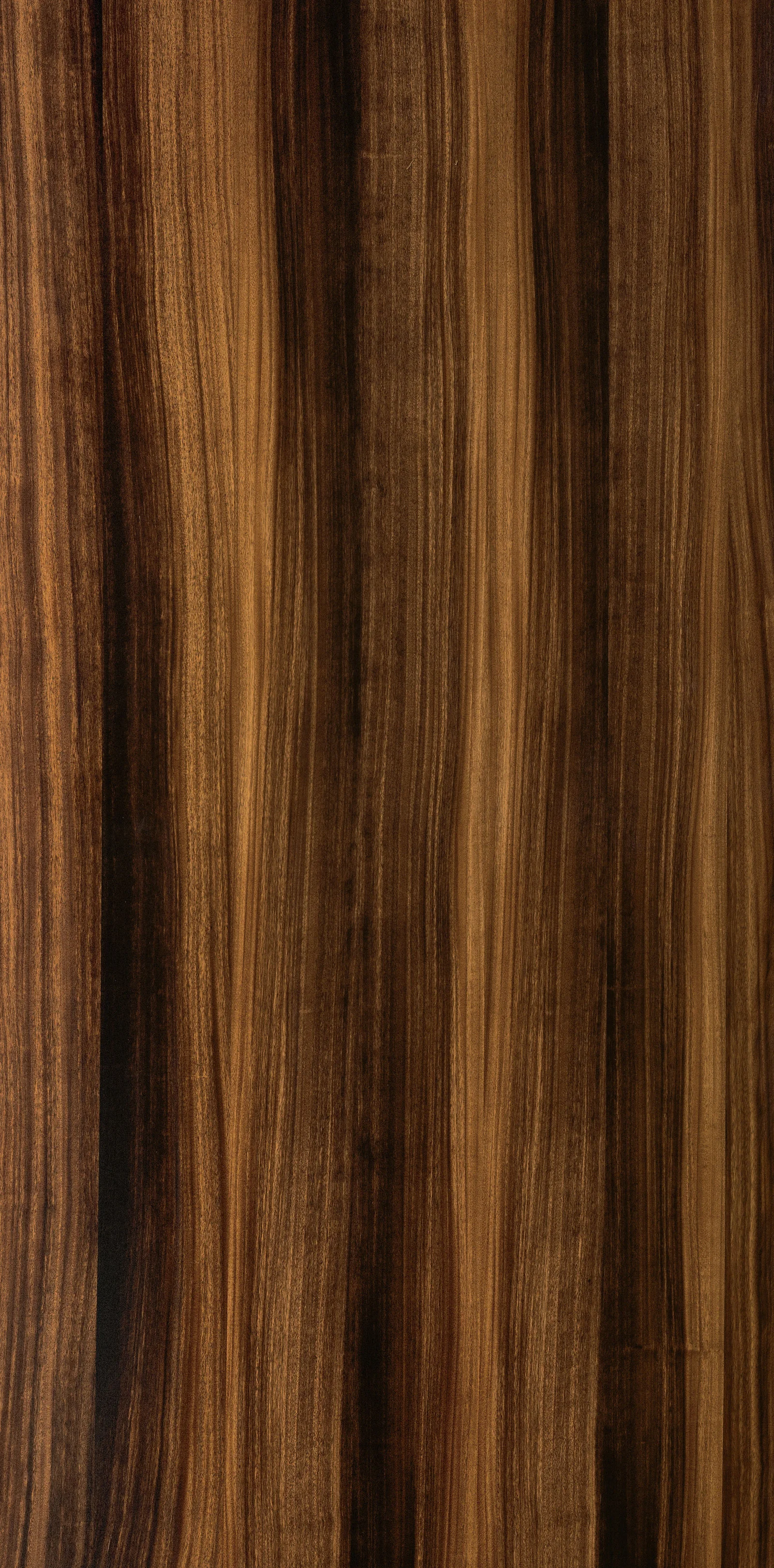 Mexican Ebony
