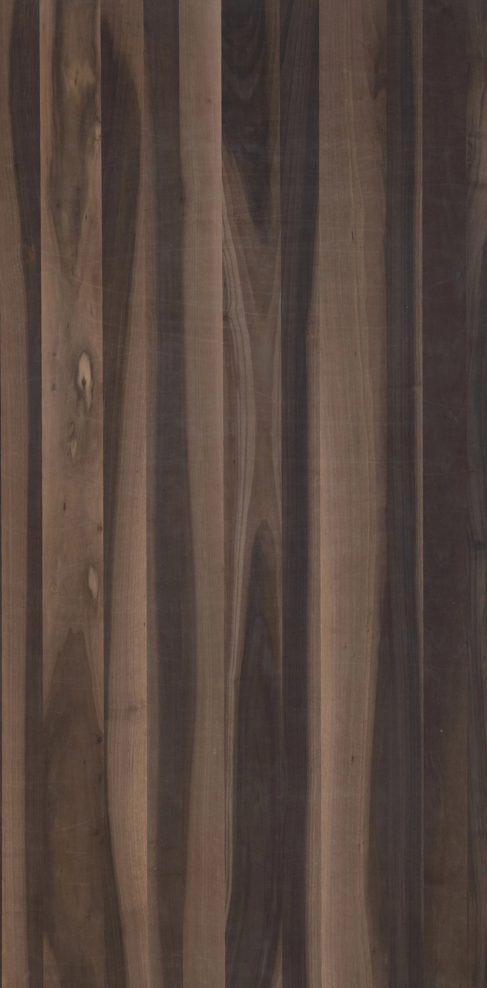 Spanish Walnut
